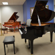 2005 Yamaha C2 conservatory grand - Grand Pianos